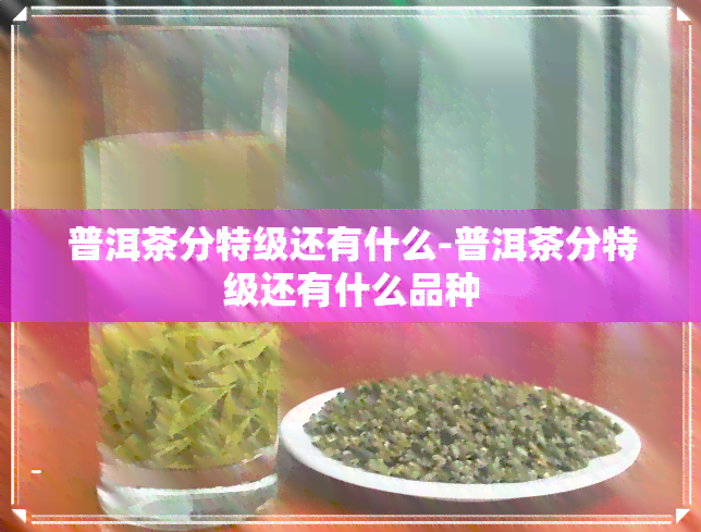 普洱茶分特级还有什么-普洱茶分特级还有什么品种