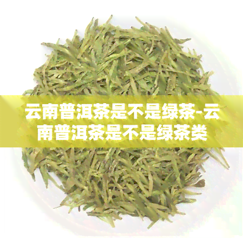 云南普洱茶是不是绿茶-云南普洱茶是不是绿茶类