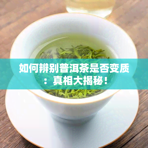 如何辨别普洱茶是否变质：真相大揭秘！