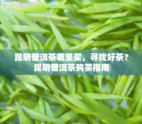 昆明普洱茶哪里买，寻找好茶？昆明普洱茶购买指南