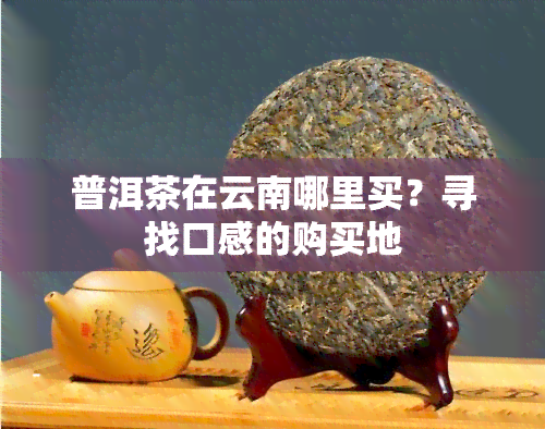 普洱茶在云南哪里买？寻找口感的购买地