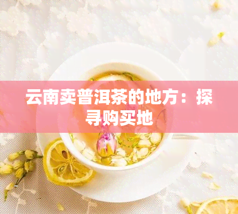 云南卖普洱茶的地方：探寻购买地