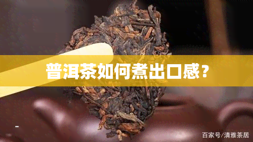 普洱茶如何煮出口感？