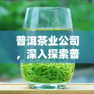 普洱茶业公司，深入探索普洱茶业公司的历、发展与未来前景