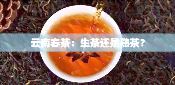 云南春茶：生茶还是熟茶？