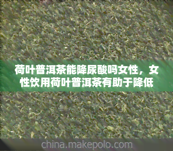 荷叶普洱茶能降尿酸吗女性，女性饮用荷叶普洱茶有助于降低尿酸吗？