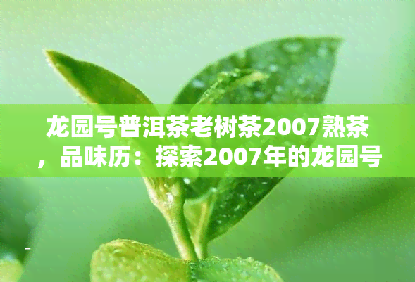 龙园号普洱茶老树茶2007熟茶，品味历：探索2007年的龙园号普洱茶老树熟茶的魅力