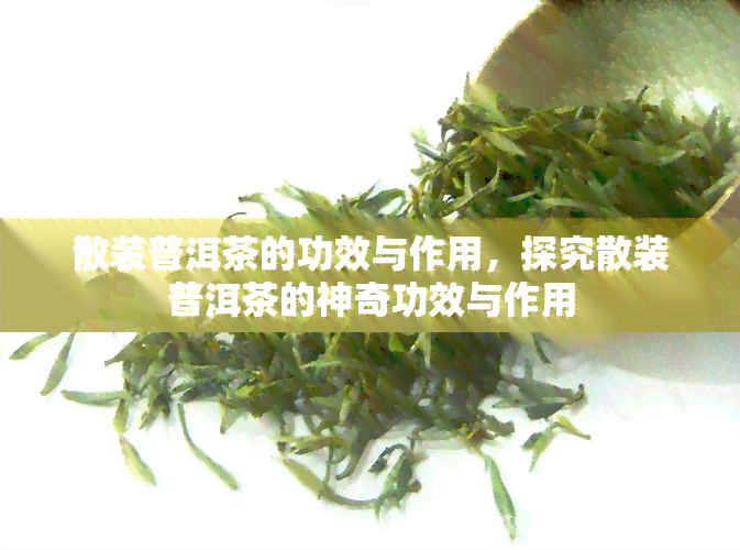 散装普洱茶的功效与作用，探究散装普洱茶的神奇功效与作用