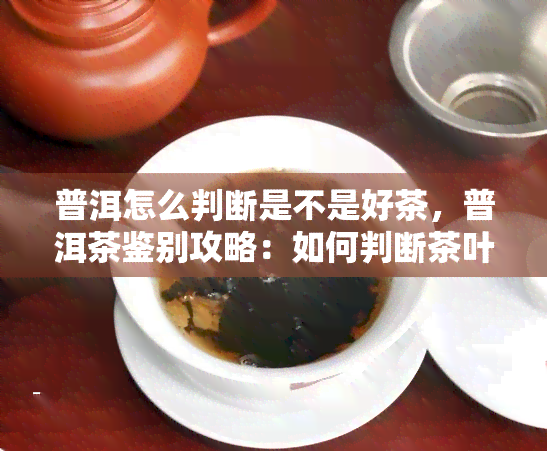 普洱怎么判断是不是好茶，普洱茶鉴别攻略：如何判断茶叶品质好坏？