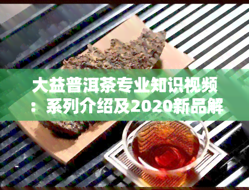 大益普洱茶专业知识视频：系列介绍及2020新品解析