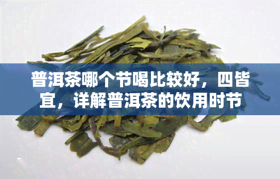 普洱茶哪个节喝比较好，四皆宜，详解普洱茶的饮用时节