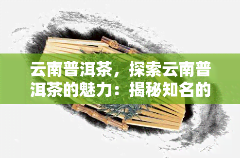 云南普洱茶，探索云南普洱茶的魅力：揭秘知名的秘密