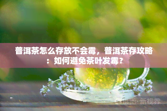 普洱茶怎么存放不会霉，普洱茶存攻略：如何避免茶叶发霉？