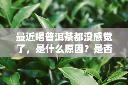 最近喝普洱茶都没感觉了，是什么原因？是否正常？