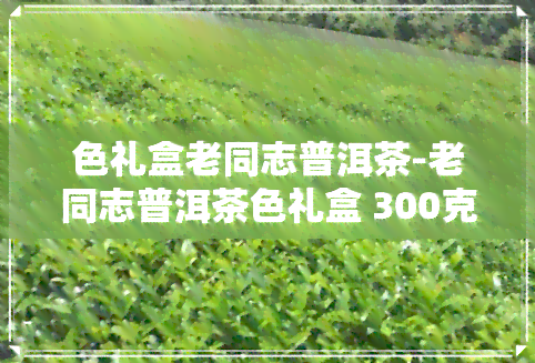 色礼盒老同志普洱茶-老同志普洱茶色礼盒 300克