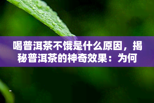 喝普洱茶不饿是什么原因，揭秘普洱茶的神奇效果：为何喝后不会感到饥饿？