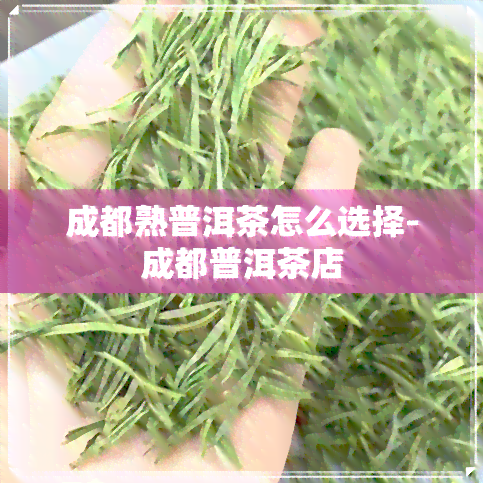 成都熟普洱茶怎么选择-成都普洱茶店