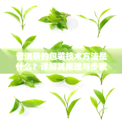 普洱茶的包装技术方法是什么？详解其原理与步骤