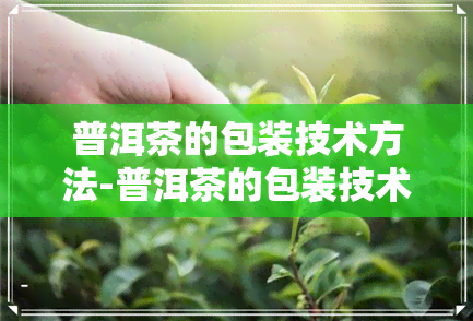 普洱茶的包装技术方法-普洱茶的包装技术方法有哪些