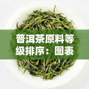 普洱茶原料等级排序：图表与详细表