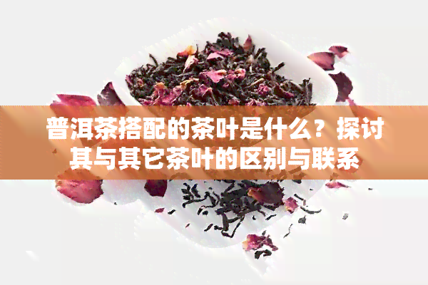 普洱茶搭配的茶叶是什么？探讨其与其它茶叶的区别与联系