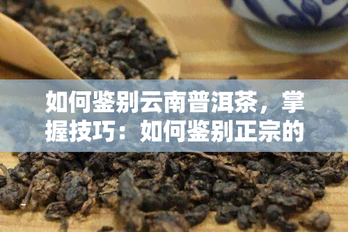 如何鉴别云南普洱茶，掌握技巧：如何鉴别正宗的云南普洱茶？