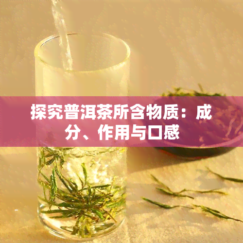 探究普洱茶所含物质：成分、作用与口感