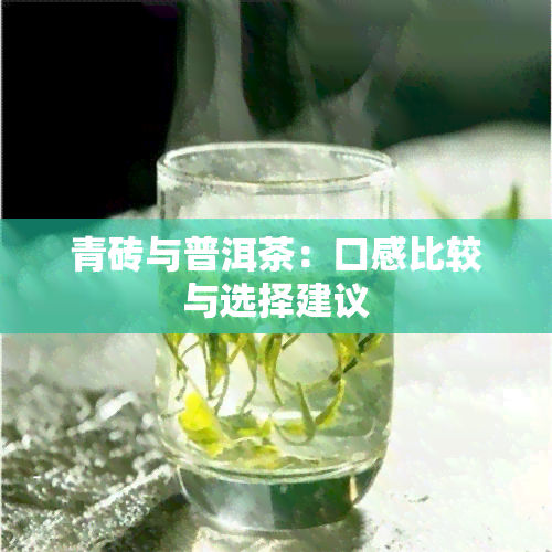 青砖与普洱茶：口感比较与选择建议