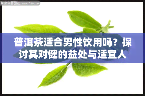 普洱茶适合男性饮用吗？探讨其对健的益处与适宜人群