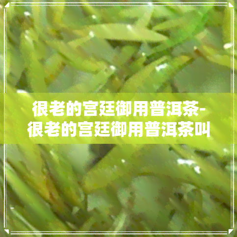 很老的宫廷御用普洱茶-很老的宫廷御用普洱茶叫什么