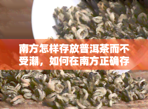 南方怎样存放普洱茶而不受潮，如何在南方正确存放普洱茶，避免受潮影响？