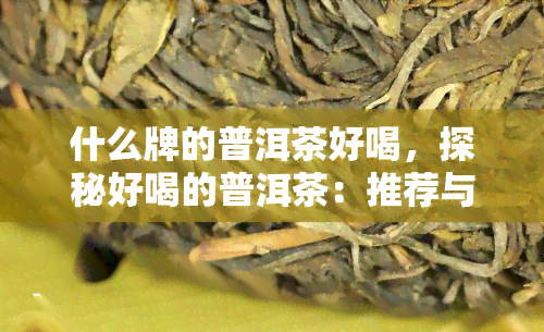 什么牌的普洱茶好喝，探秘好喝的普洱茶：推荐与品鉴指南