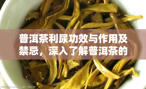 普洱茶利尿功效与作用及禁忌，深入了解普洱茶的利尿功效、作用及其使用禁忌