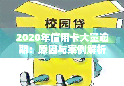 2020年信用卡大量逾期：原因与案例解析