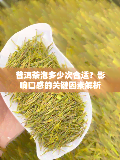 普洱茶泡多少次合适？影响口感的关键因素解析