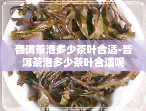 普洱茶泡多少茶叶合适-普洱茶泡多少茶叶合适呢