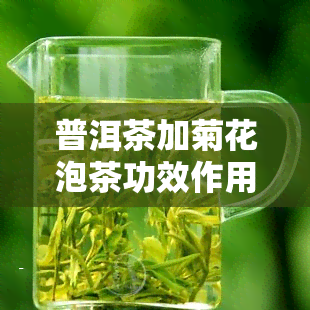 普洱茶加菊花泡茶功效作用，普洱茶搭配菊花泡出的养生茶，有哪些功效与作用？