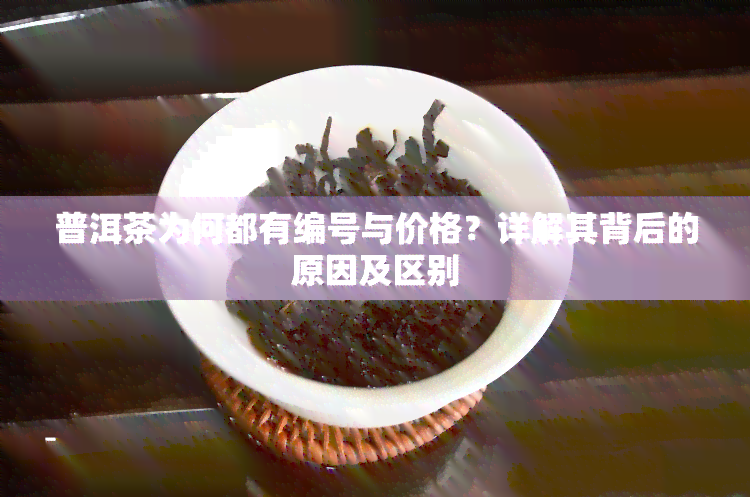 普洱茶为何都有编号与价格？详解其背后的原因及区别