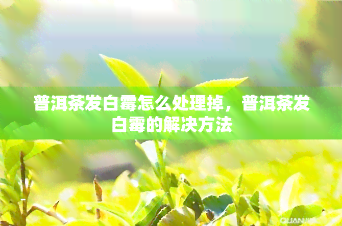 普洱茶发白霉怎么处理掉，普洱茶发白霉的解决方法