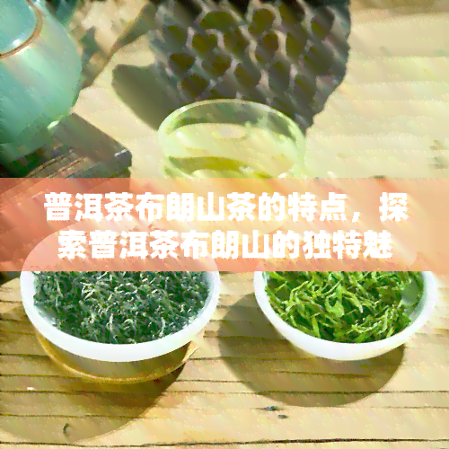 普洱茶布朗山茶的特点，探索普洱茶布朗山的独特魅力：特点解析