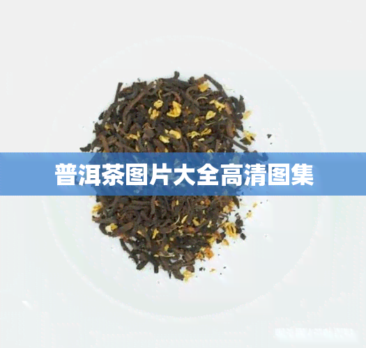 普洱茶图片大全高清图集