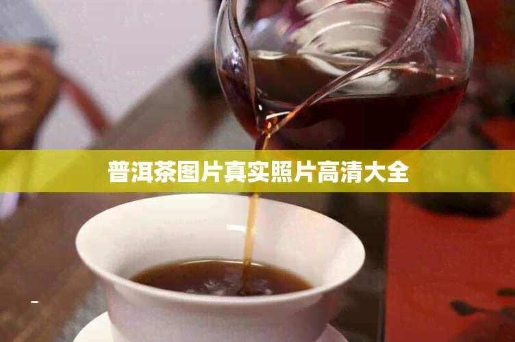 普洱茶图片真实照片高清大全