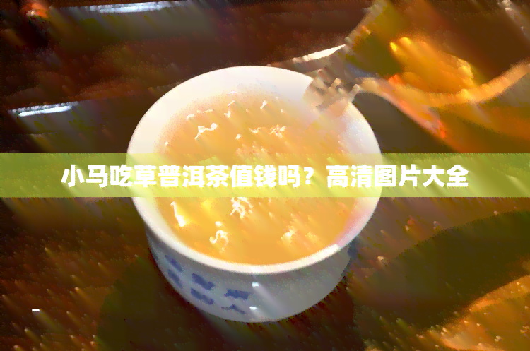 小马吃草普洱茶值钱吗？高清图片大全