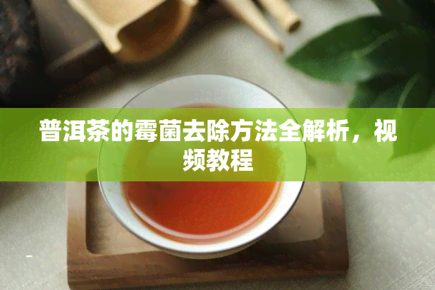 普洱茶的霉菌去除方法全解析，视频教程