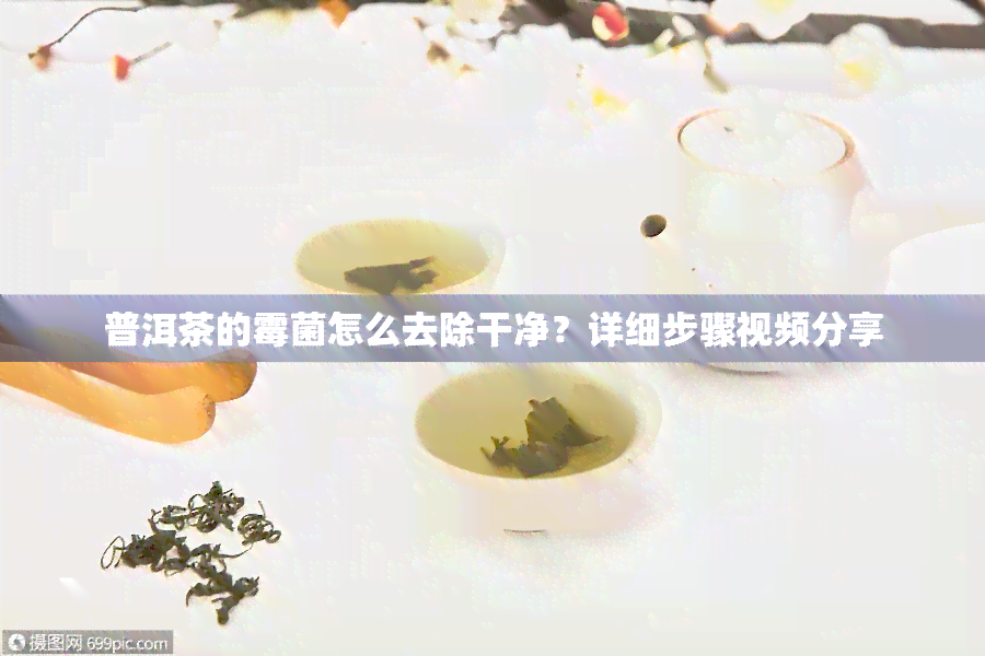 普洱茶的霉菌怎么去除干净？详细步骤视频分享