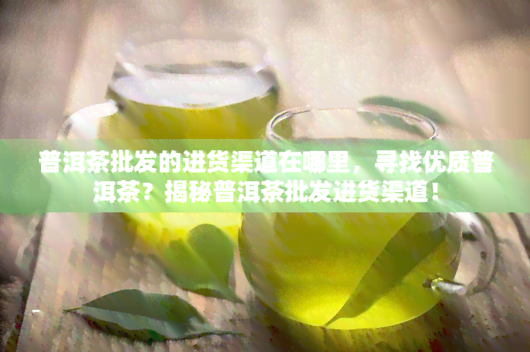 普洱茶批发的进货渠道在哪里，寻找优质普洱茶？揭秘普洱茶批发进货渠道！