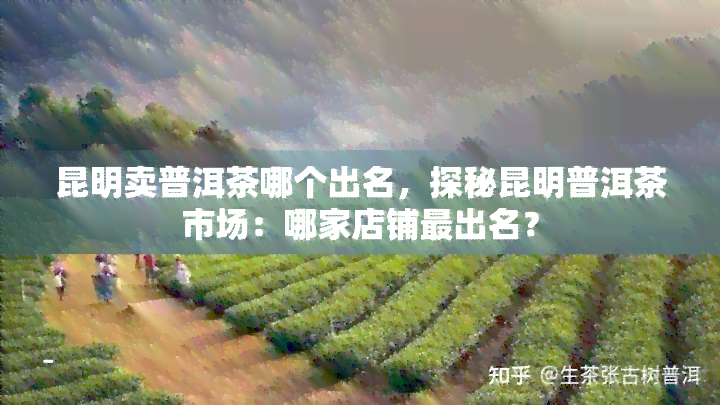 昆明卖普洱茶哪个出名，探秘昆明普洱茶市场：哪家店铺最出名？