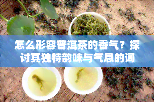 怎么形容普洱茶的香气？探讨其独特韵味与气息的词汇