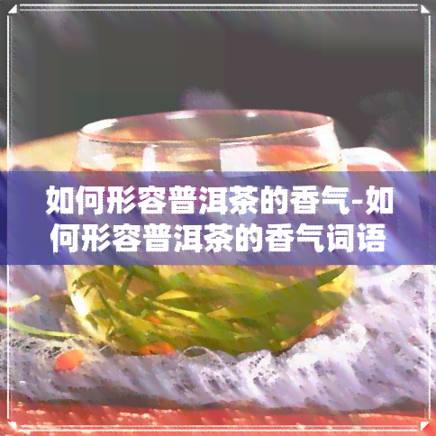 如何形容普洱茶的香气-如何形容普洱茶的香气词语