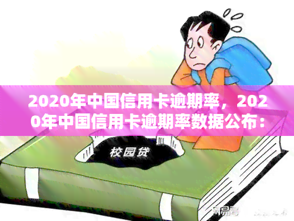 2020年中国信用卡逾期率，2020年中国信用卡逾期率数据公布：揭示信贷市场风险与机遇